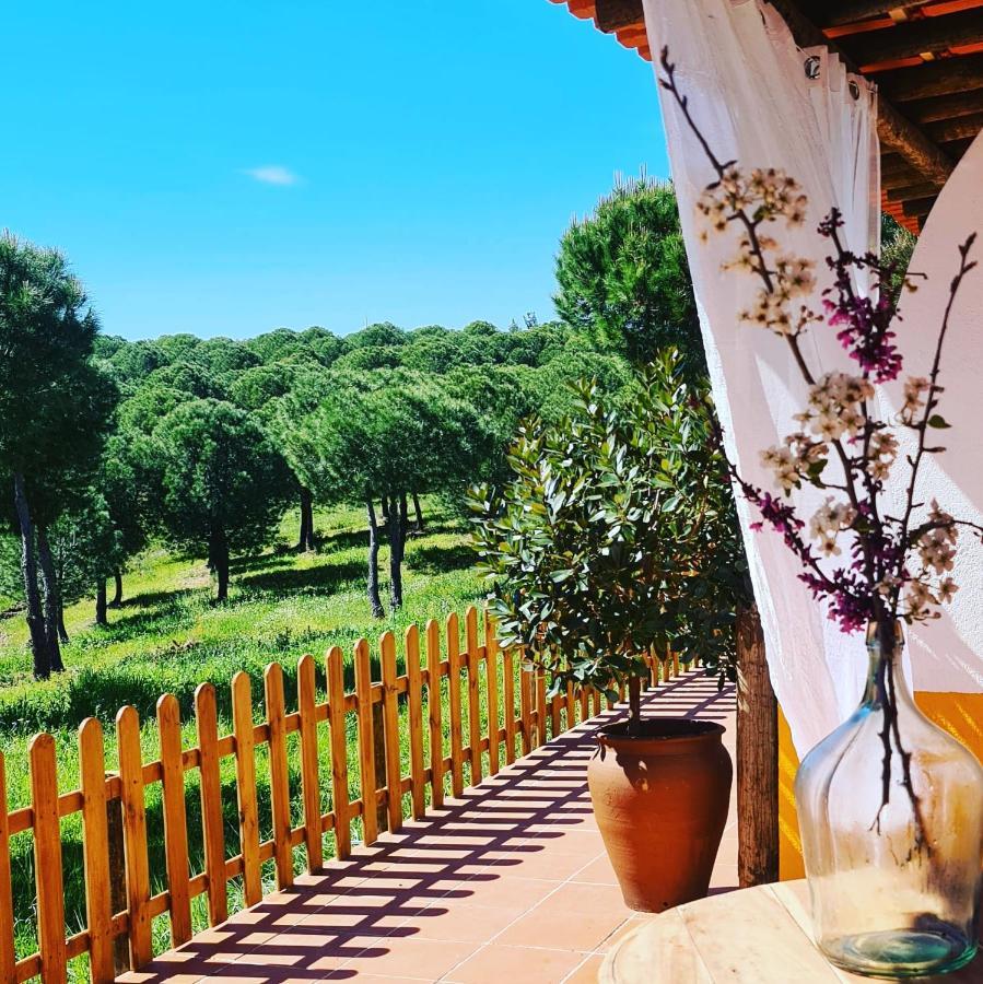 Herdade Do Rio Torto Portel Εξωτερικό φωτογραφία
