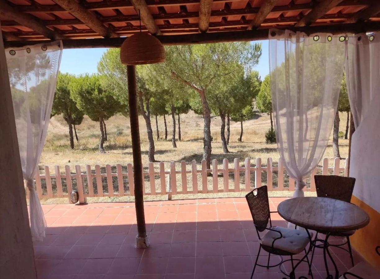 Herdade Do Rio Torto Portel Εξωτερικό φωτογραφία
