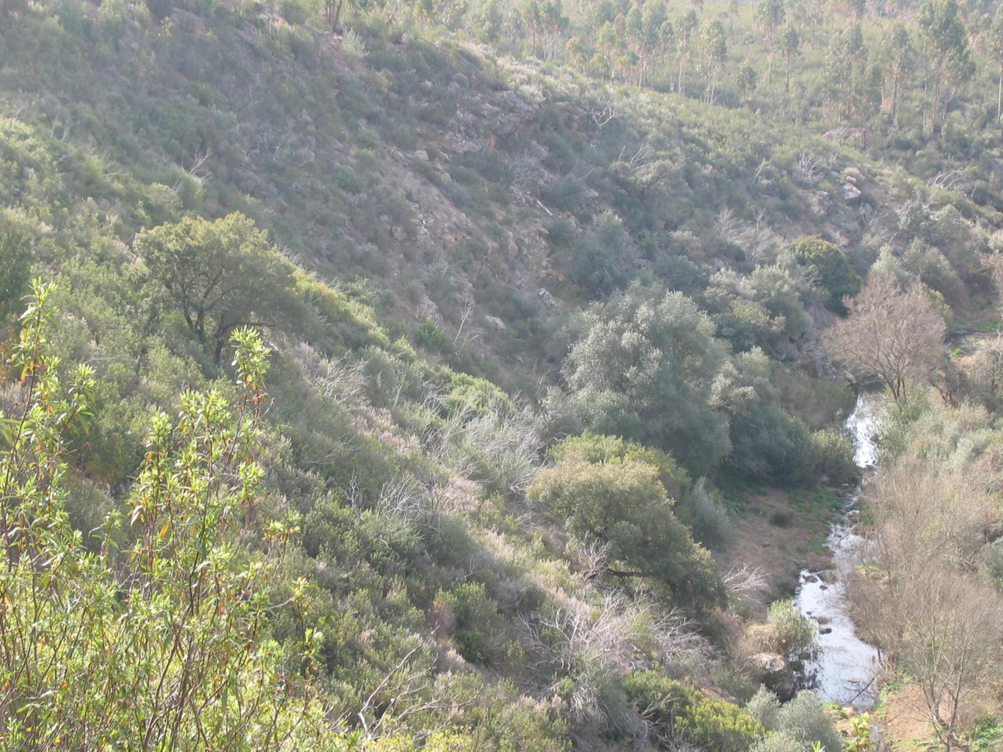 Herdade Do Rio Torto Portel Εξωτερικό φωτογραφία