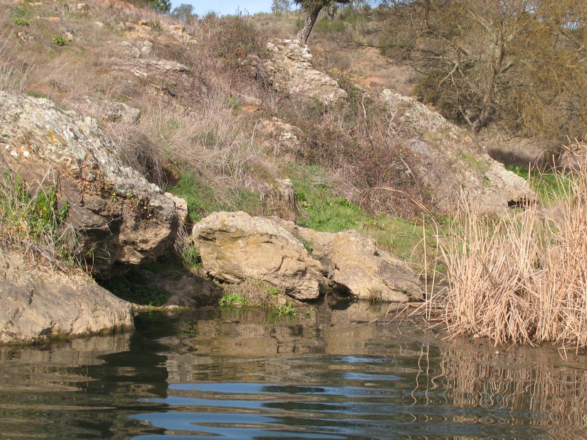 Herdade Do Rio Torto Portel Εξωτερικό φωτογραφία