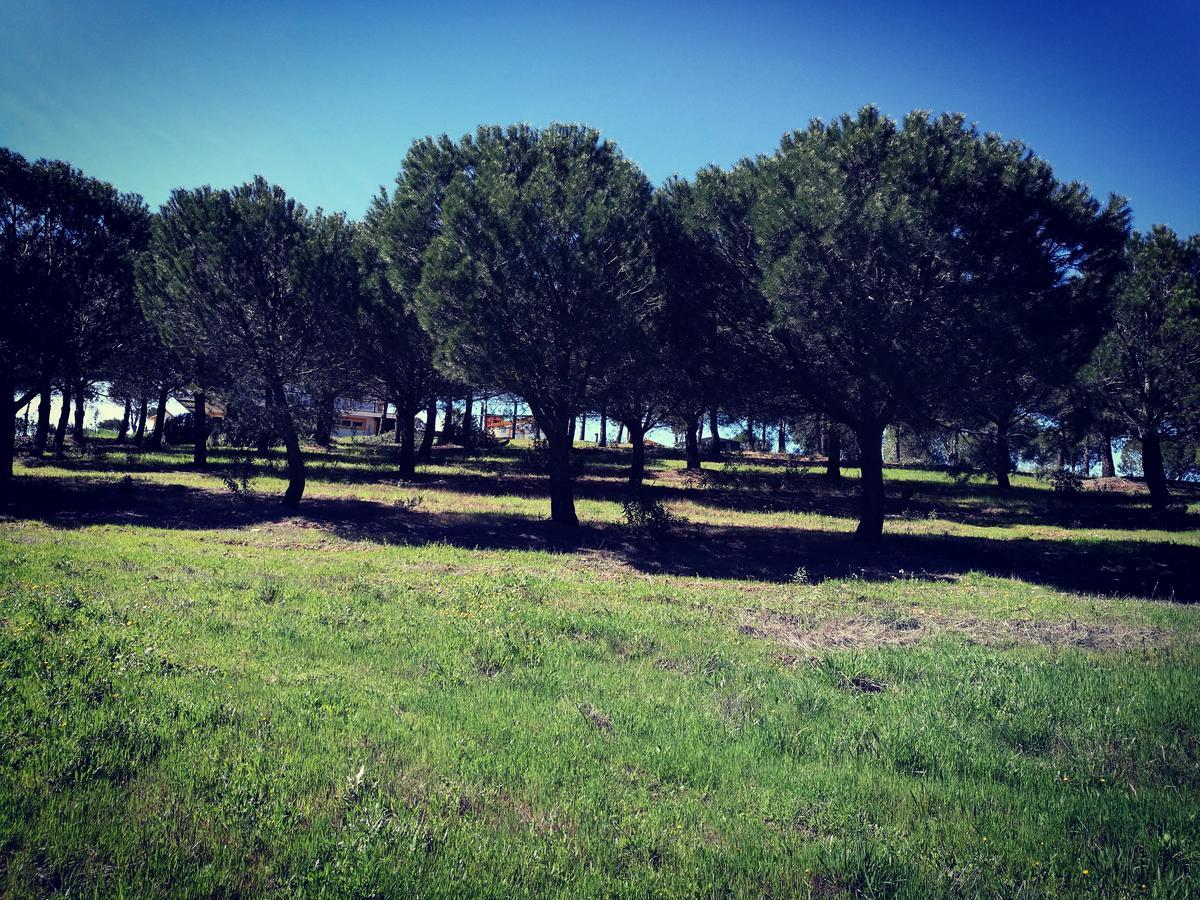Herdade Do Rio Torto Portel Εξωτερικό φωτογραφία