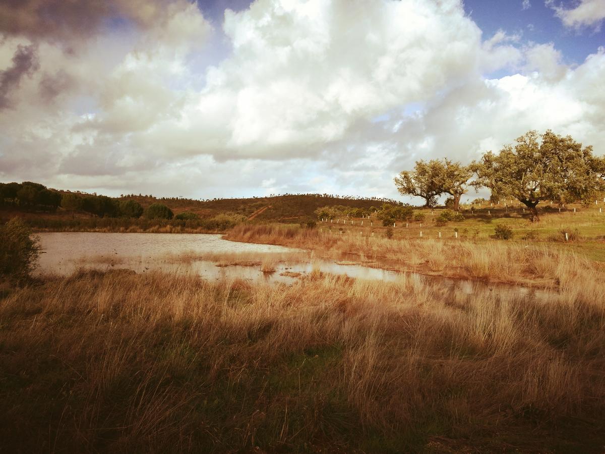 Herdade Do Rio Torto Portel Εξωτερικό φωτογραφία