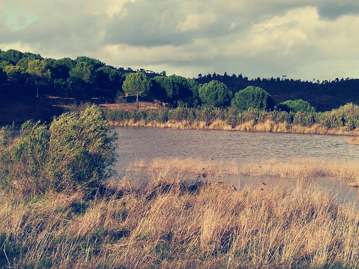 Herdade Do Rio Torto Portel Εξωτερικό φωτογραφία