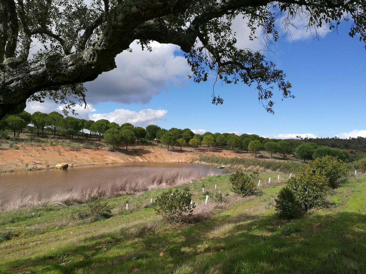 Herdade Do Rio Torto Portel Εξωτερικό φωτογραφία