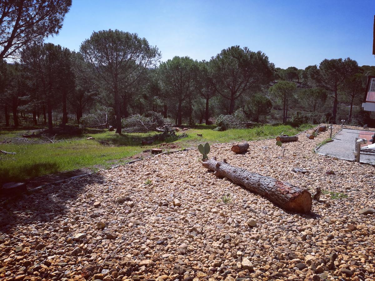 Herdade Do Rio Torto Portel Εξωτερικό φωτογραφία